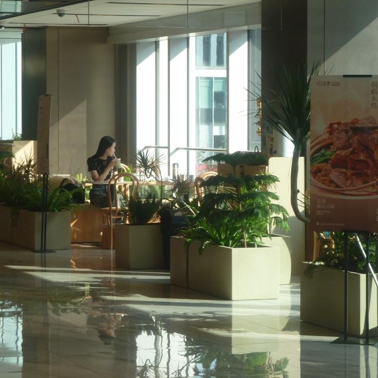 Family-friendly shopping and daily life in France